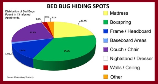 Bedbug Hiding Pie Chart