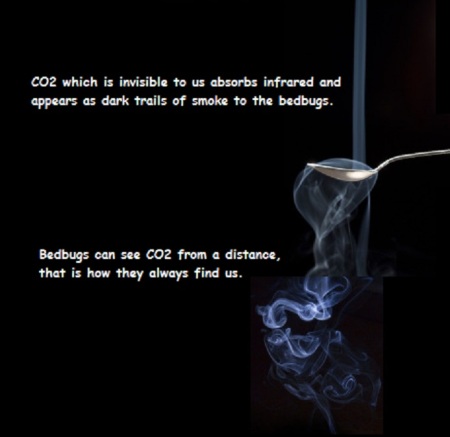 CO2 seen by bedbugs